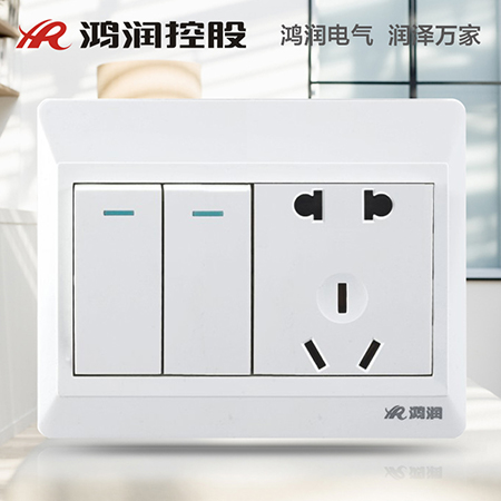 二联单联开关带二、三极插座
