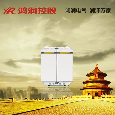 120功能件 双联双生开关